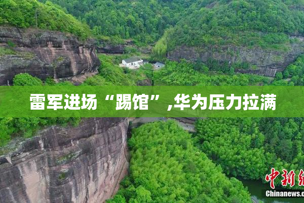 雷军进场“踢馆”,华为压力拉满