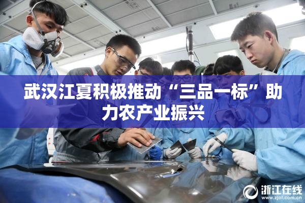 武汉江夏积极推动“三品一标”助力农产业振兴