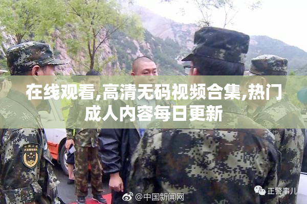 在线观看,高清无码视频合集,热门成人内容每日更新