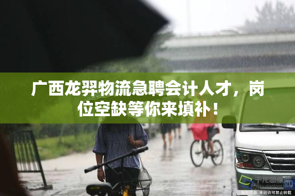 广西龙羿物流急聘会计人才，岗位空缺等你来填补！