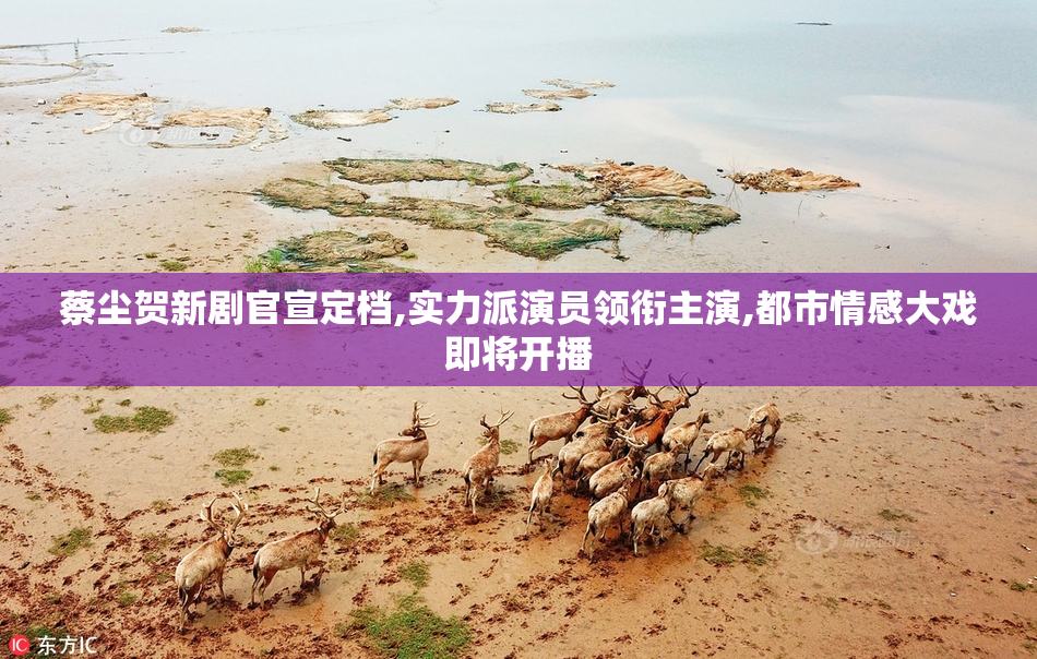 蔡尘贺新剧官宣定档,实力派演员领衔主演,都市情感大戏即将开播