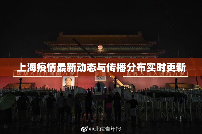 上海疫情最新动态与传播分布实时更新
