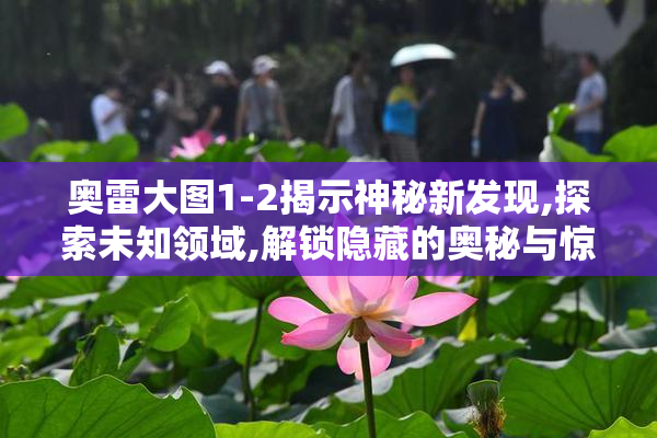 奥雷大图1-2揭示神秘新发现,探索未知领域,解锁隐藏的奥秘与惊人细节