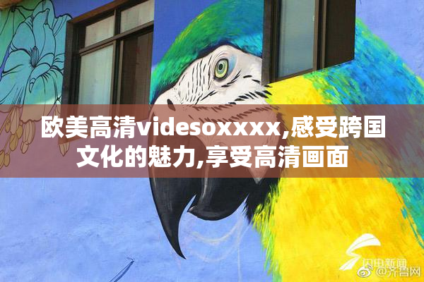 欧美高清videsoxxxx,感受跨国文化的魅力,享受高清画面