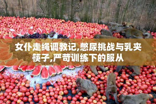 女仆走绳调教记,憋尿挑战与乳夹筷子,严苛训练下的服从