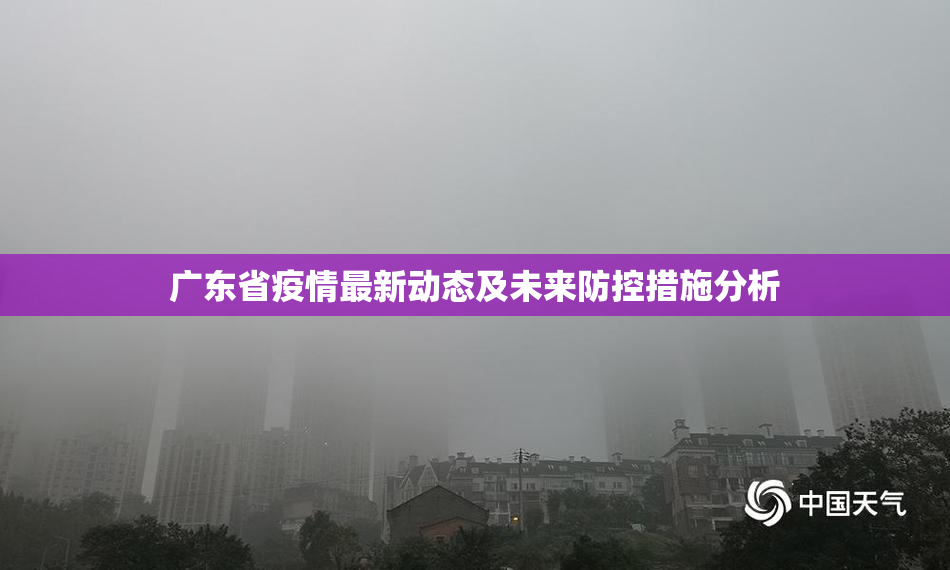 广东省疫情最新动态及未来防控措施分析