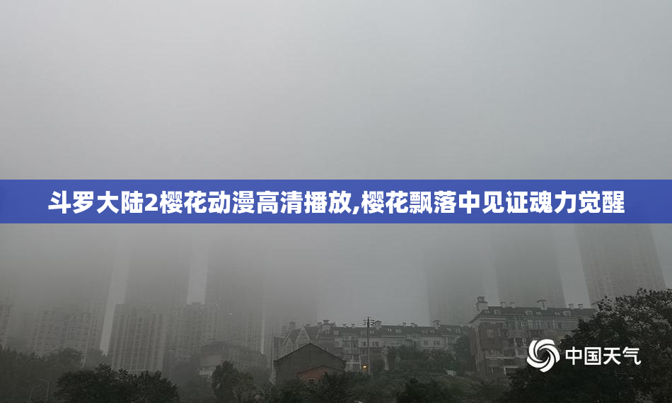 斗罗大陆2樱花动漫高清播放,樱花飘落中见证魂力觉醒