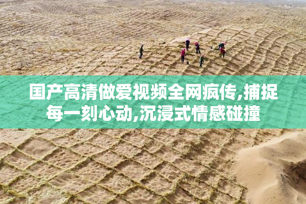 国产高清做爱视频全网疯传,捕捉每一刻心动,沉浸式情感碰撞