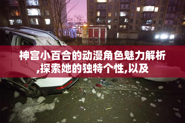 神宫小百合的动漫角色魅力解析,探索她的独特个性,以及