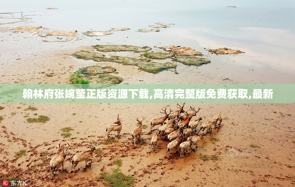 翰林府张婉莹正版资源下载,高清完整版免费获取,最新