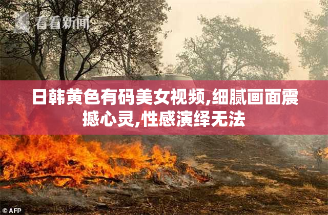 日韩黄色有码美女视频,细腻画面震撼心灵,性感演绎无法