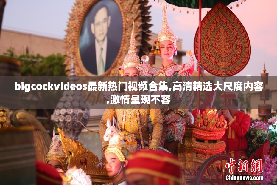 bigcockvideos最新热门视频合集,高清精选大尺度内容,激情呈现不容