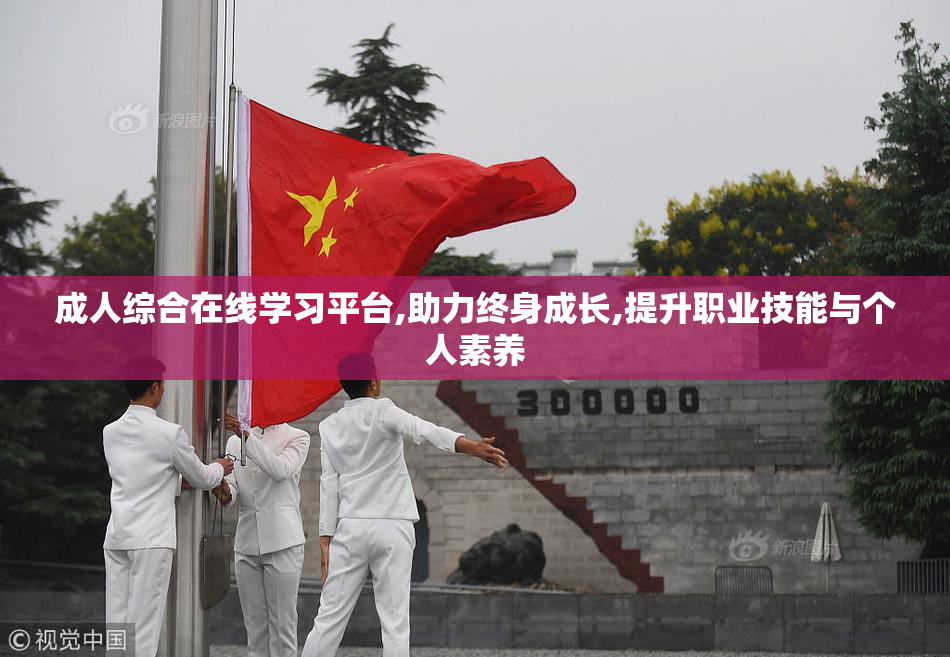 成人综合在线学习平台,助力终身成长,提升职业技能与个人素养
