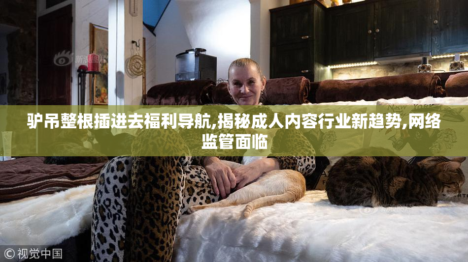 驴吊整根插进去福利导航,揭秘成人内容行业新趋势,网络监管面临