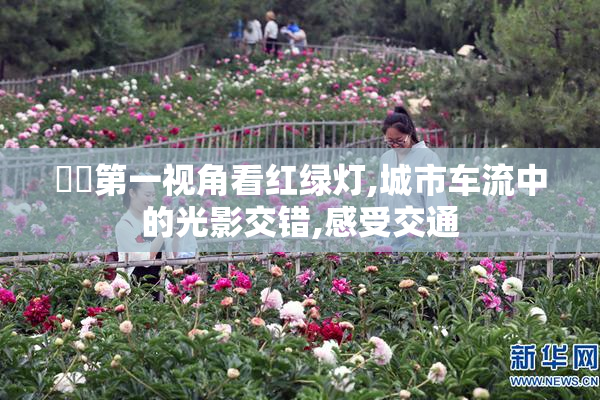 芃芃第一视角看红绿灯,城市车流中的光影交错,感受交通