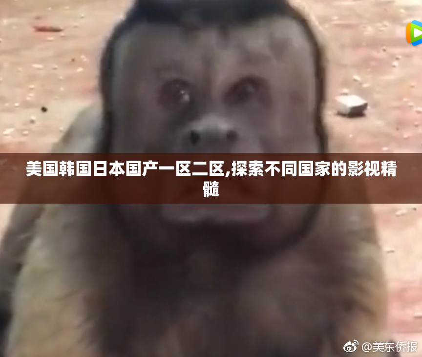 美国韩国日本国产一区二区,探索不同国家的影视精髓