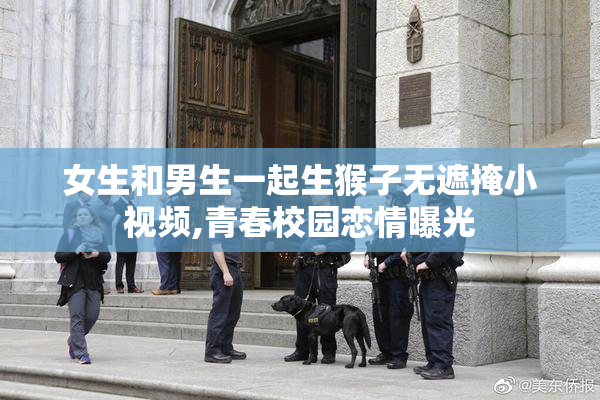 女生和男生一起生猴子无遮掩小视频,青春校园恋情曝光