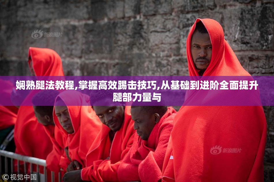 娴熟腿法教程,掌握高效踢击技巧,从基础到进阶全面提升腿部力量与