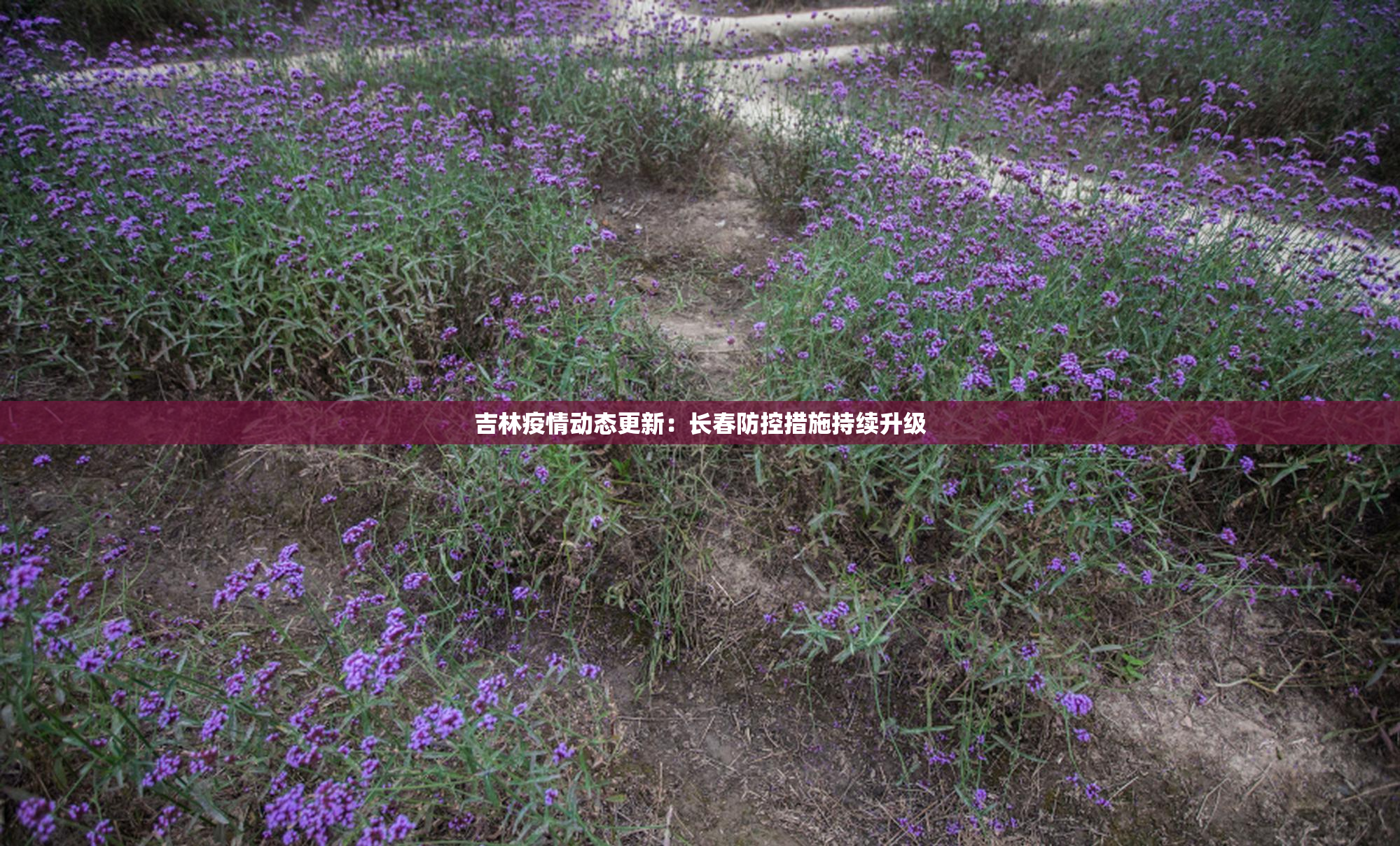 吉林疫情动态更新：长春防控措施持续升级