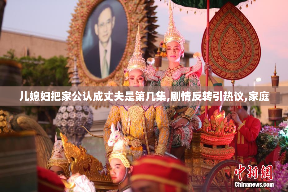 儿媳妇把家公认成丈夫是第几集,剧情反转引热议,家庭