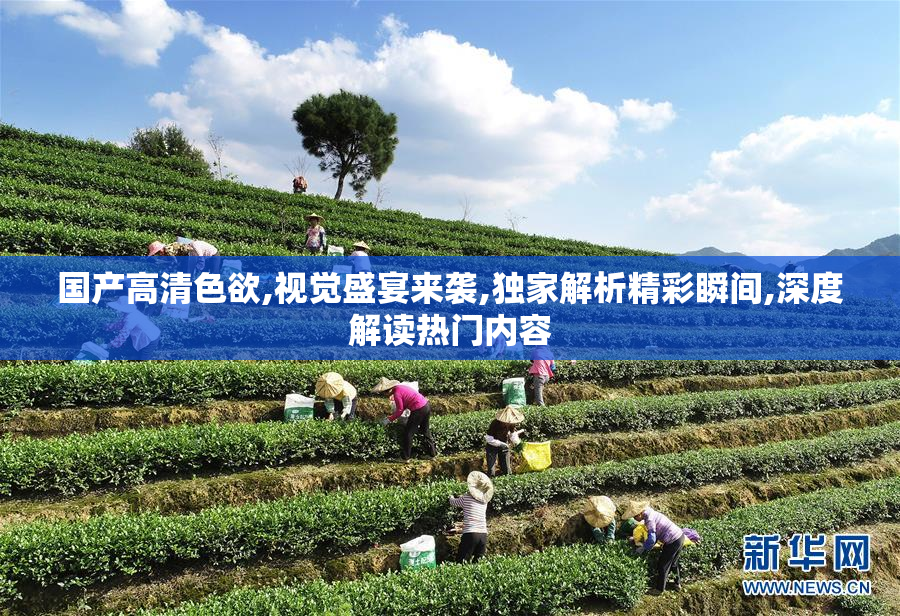 国产高清色欲,视觉盛宴来袭,独家解析精彩瞬间,深度解读热门内容