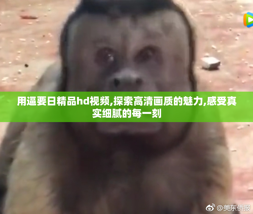 用逼要日精品hd视频,探索高清画质的魅力,感受真实细腻的每一刻