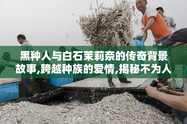 黑种人与白石茉莉奈的传奇背景故事,跨越种族的爱情,揭秘不为人知