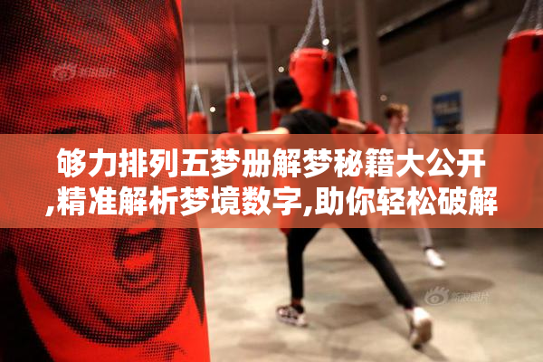 够力排列五梦册解梦秘籍大公开,精准解析梦境数字,助你轻松破解