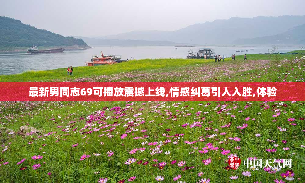 最新男同志69可播放震撼上线,情感纠葛引人入胜,体验