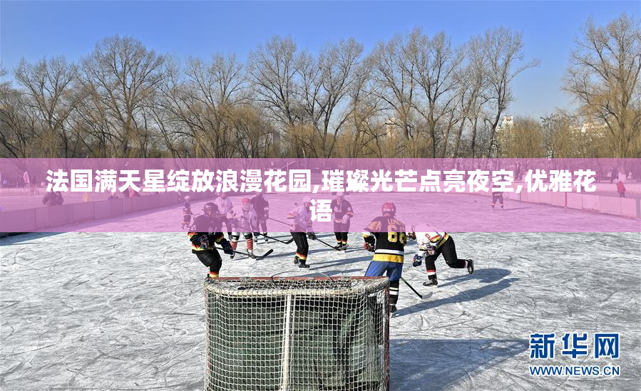 法国满天星绽放浪漫花园,璀璨光芒点亮夜空,优雅花语
