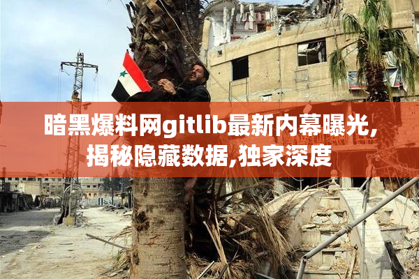 暗黑爆料网gitlib最新内幕曝光,揭秘隐藏数据,独家深度