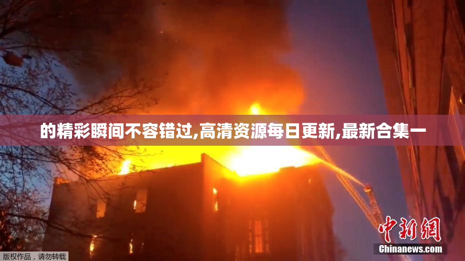 的精彩瞬间不容错过,高清资源每日更新,最新合集一