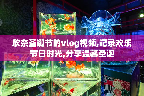 欣奈圣诞节的vlog视频,记录欢乐节日时光,分享温馨圣诞