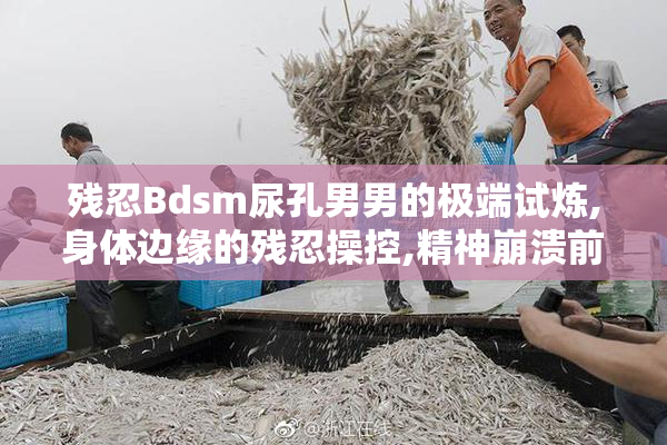 残忍Bdsm尿孔男男的极端试炼,身体边缘的残忍操控,精神崩溃前的