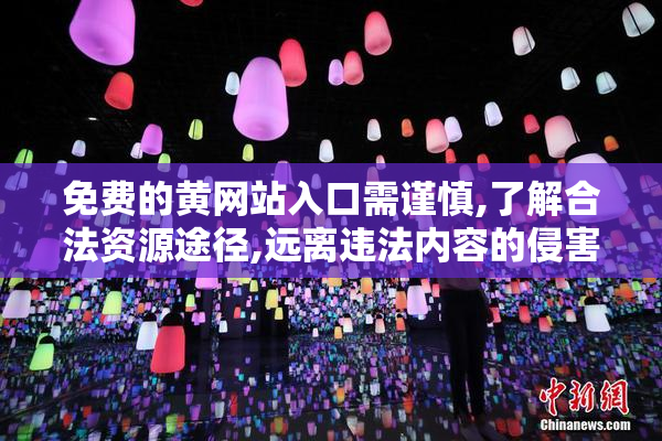 免费的黄网站入口需谨慎,了解合法资源途径,远离违法内容的侵害