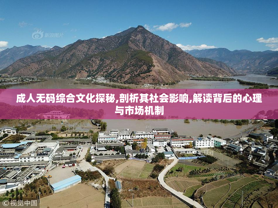 成人无码综合文化探秘,剖析其社会影响,解读背后的心理与市场机制