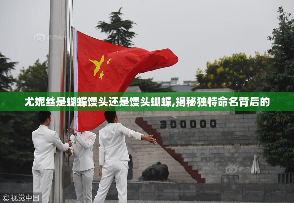 尤妮丝是蝴蝶馒头还是馒头蝴蝶,揭秘独特命名背后的
