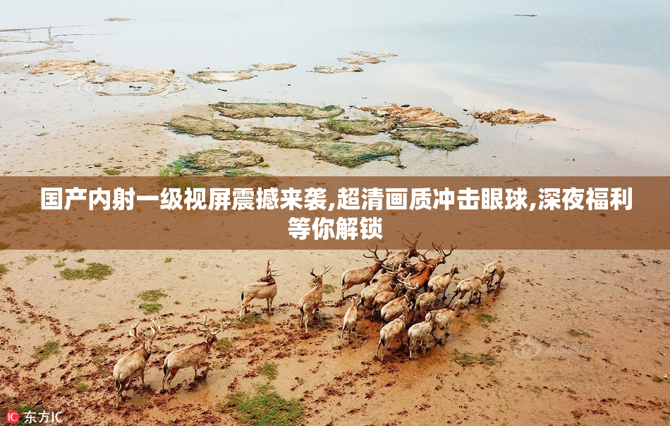 国产内射一级视屏震撼来袭,超清画质冲击眼球,深夜福利等你解锁