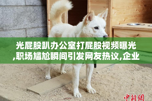 光屁股趴办公室打屁股视频曝光,职场尴尬瞬间引发网友热议,企业