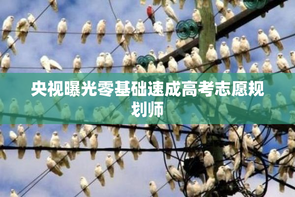 央视曝光零基础速成高考志愿规划师