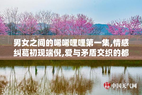 男女之间的唏唏哩哩第一集,情感纠葛初现端倪,爱与矛盾交织的都市