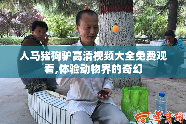 人马猪狗驴高清视频大全免费观看,体验动物界的奇幻