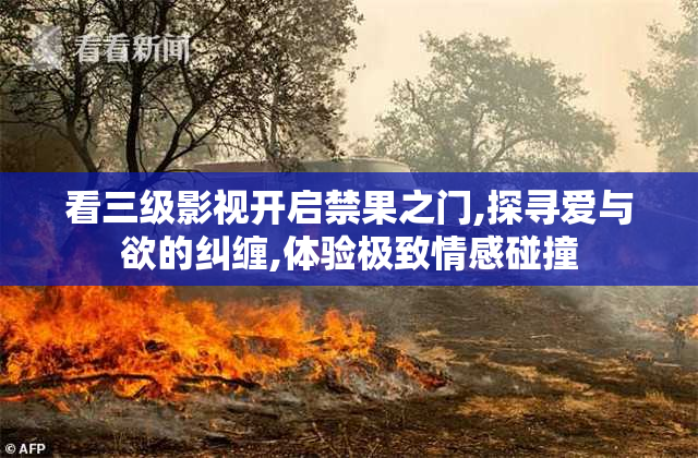看三级影视开启禁果之门,探寻爱与欲的纠缠,体验极致情感碰撞