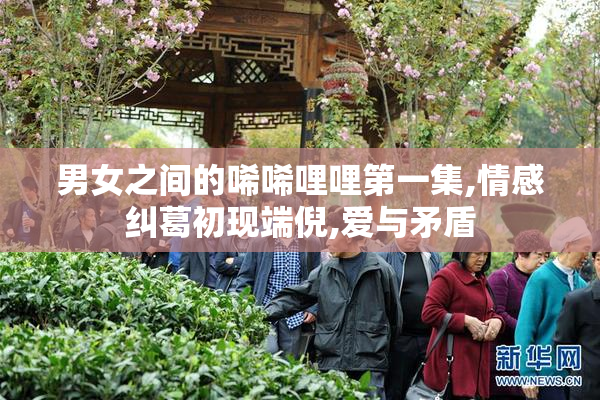 男女之间的唏唏哩哩第一集,情感纠葛初现端倪,爱与矛盾