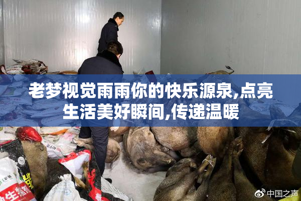 老梦视觉雨雨你的快乐源泉,点亮生活美好瞬间,传递温暖