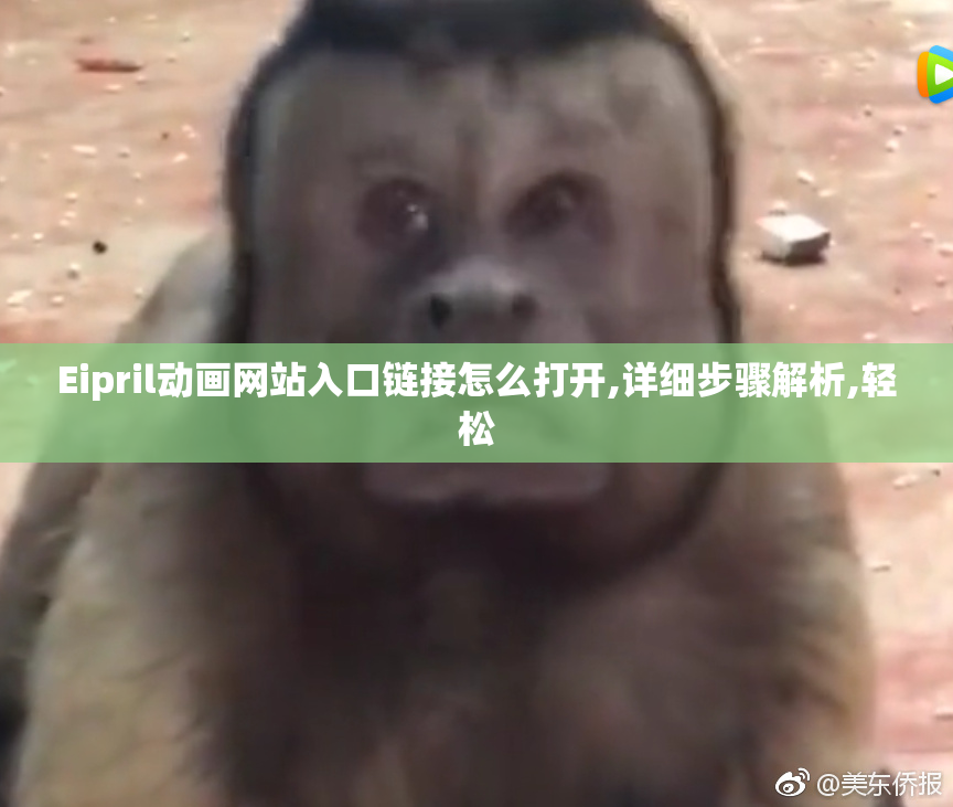 Eipril动画网站入口链接怎么打开,详细步骤解析,轻松