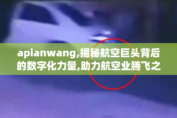apianwang,揭秘航空巨头背后的数字化力量,助力航空业腾飞之路