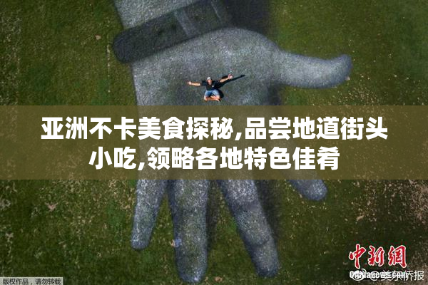 亚洲不卡美食探秘,品尝地道街头小吃,领略各地特色佳肴