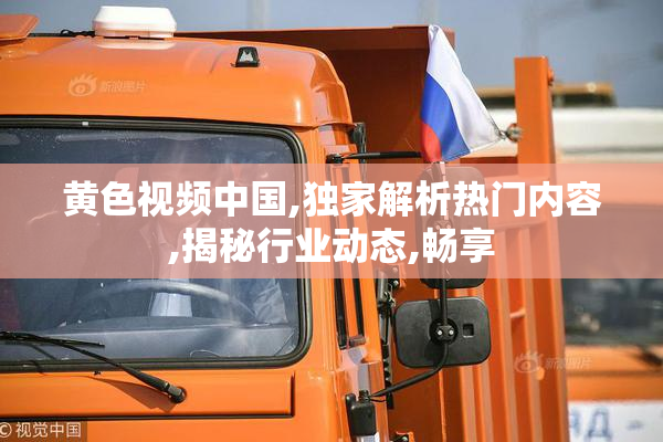 黄色视频中国,独家解析热门内容,揭秘行业动态,畅享
