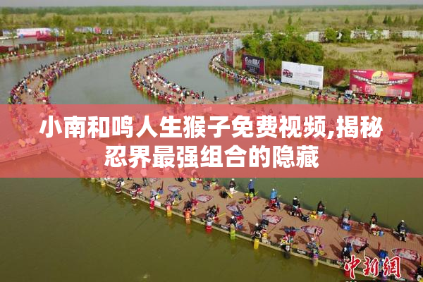 小南和鸣人生猴子免费视频,揭秘忍界最强组合的隐藏